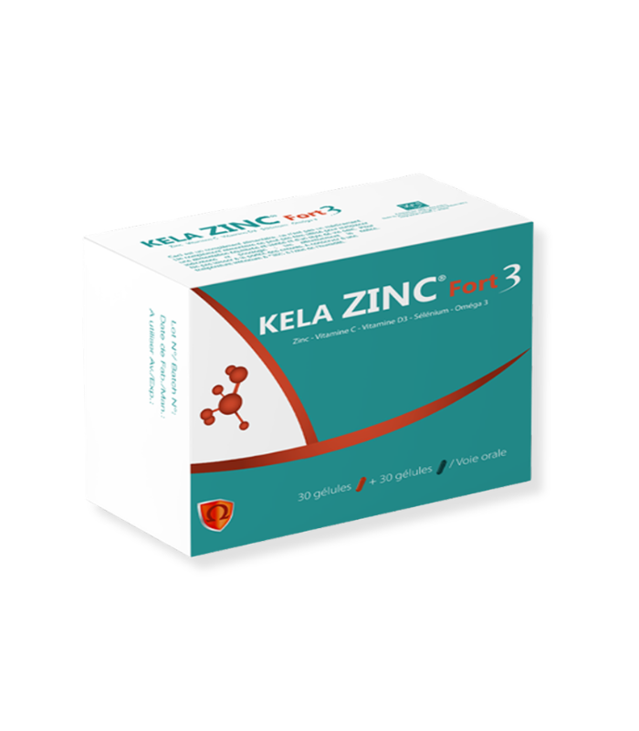 KELA_ZINC_FORT_3_B_60[1]