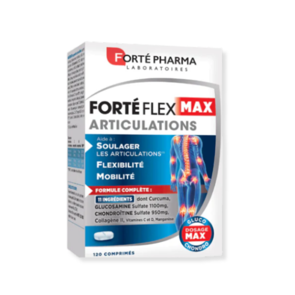 FORTE_FLEX_MAX_ARTICULATIONS_GEL_B_120_(2)[1]