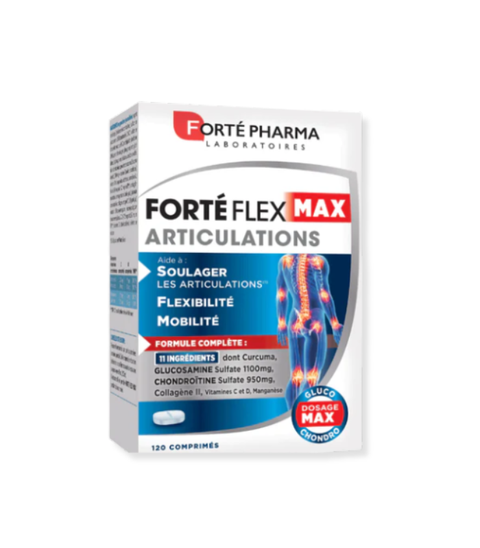 FORTE_FLEX_MAX_ARTICULATIONS_GEL_B_120_(2)[1]