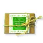 SAVON_DE_SOIN_A_LA_SPIRULINE_90G[1]